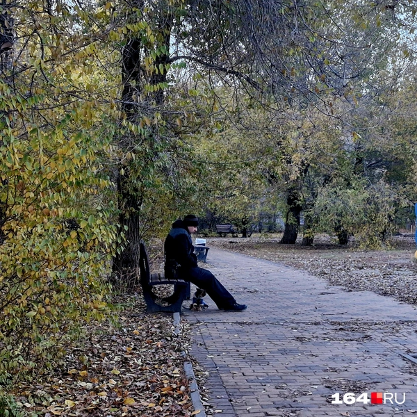 Найдите собаку | Источник: Виктория Федорова / 164.RU