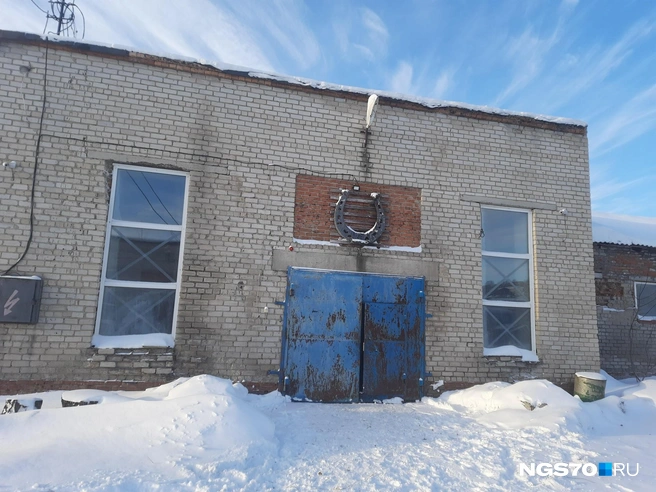 Ромео живет в частной конюшне, где хозяйка ежемесячно оплачивает ему «постой» | Источник: Анастасия Харламова / NGS70.RU