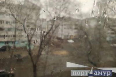 28 марта в Приамурье ожидаются дождь и мокрый снег