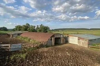 Конеферма «под ключ» в Башкирии: 110 лошадей и техника