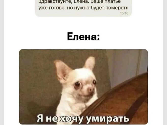 Лучше без этого | Источник: Городские медиа