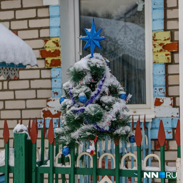 Оградку украшает небольшая ель | Источник: Наталья Бурухина / NN.RU