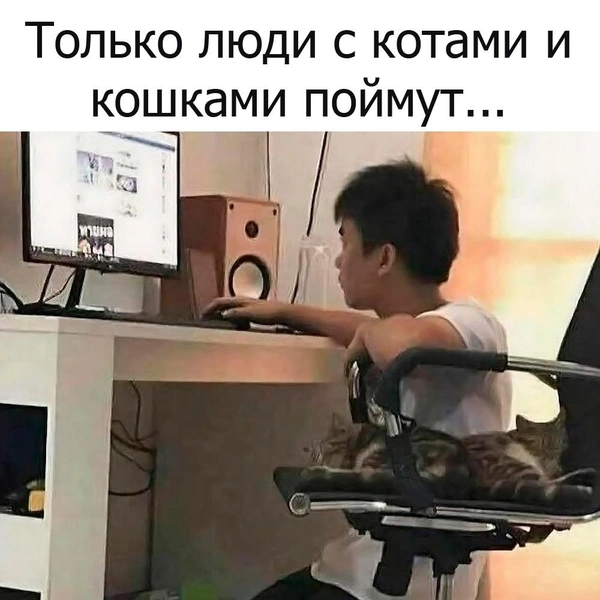 Источник: соцсети