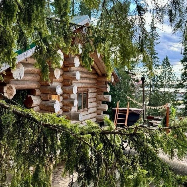 Домик окружен хвойным лесом | Источник: greendreamhm.ru