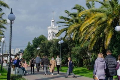 В Сочи горожане могут оценить работу властей через соцопрос