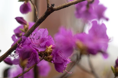 Апрель в Приморье: потепление, ветер и осадки