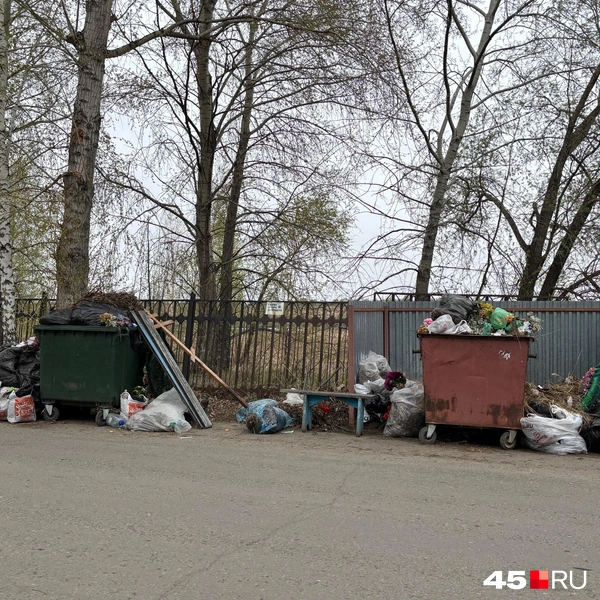 Источник: Кирилл Митин