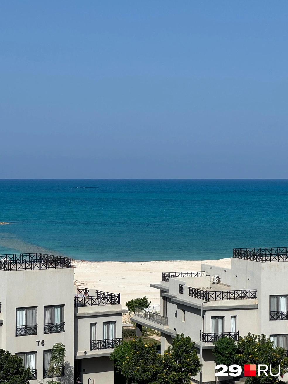 Картинка для истинных эстетов | Источник: Валерия Богатырева / 29.RU