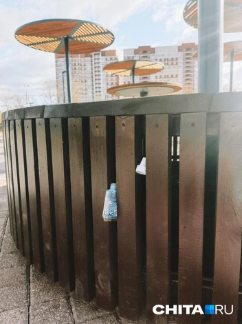 Источник: Любовь Никитина / CHITA.RU