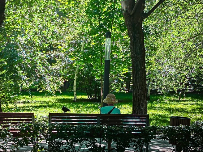 Семки есть? А если найду? | Источник: Дмитрий Доценков / V1.RU