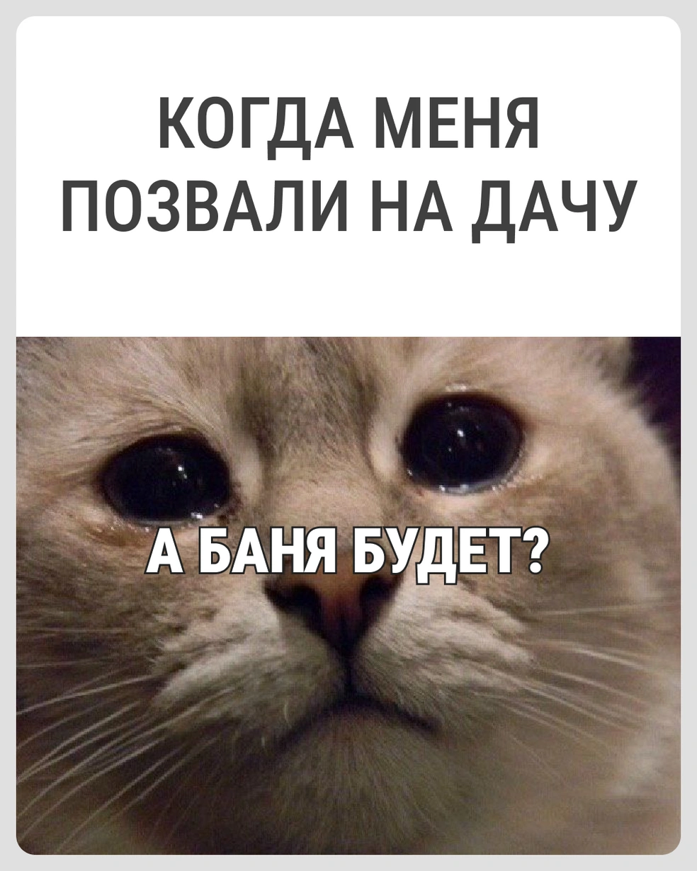 И шашлычка бы еще | Источник: Городские медиа