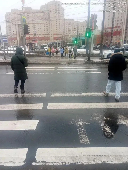 Источник: Комитет по благоустройству Санкт-Петербурга