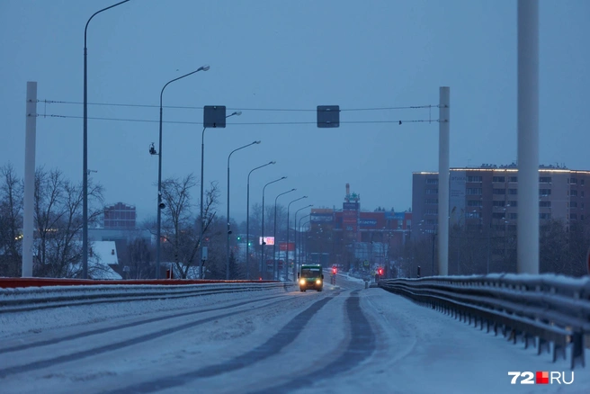 Источник: Ирина Шарова / 72.RU