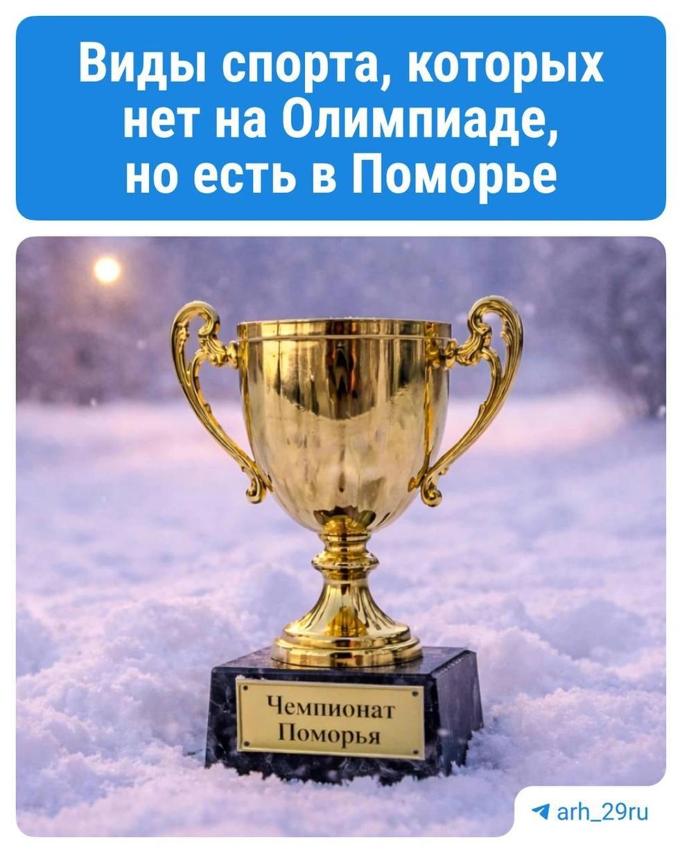 Источник: Анастасия Гусева / 29.RU