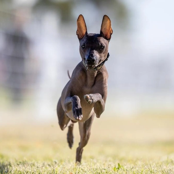 Источник: Cavan-Images/Shutterstock/Fotodom.ru