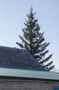 Источник: Андрей Козлов