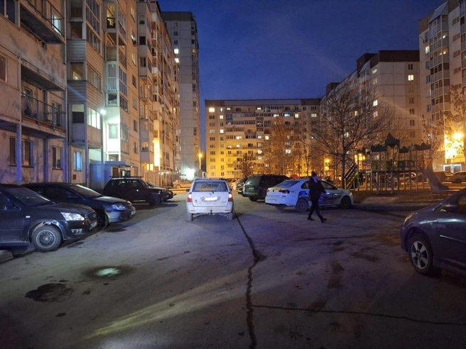 Мальчик внезапно появился из-за припаркованного автомобиля | Источник: ГАИ Новосибирска