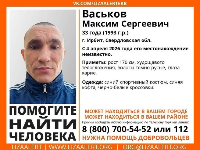 Источник: «ЛизаАлерт» Свердловской области