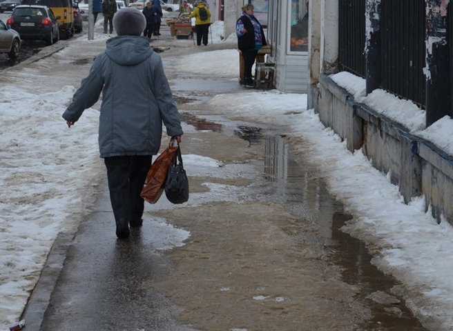 В пятницу в Рязанской области потеплеет до 0 °С | ya62.ru