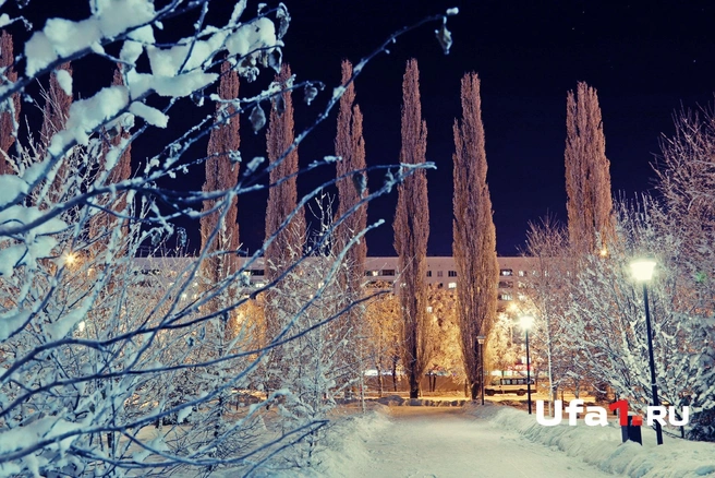Источник: Тимур Шарипкулов