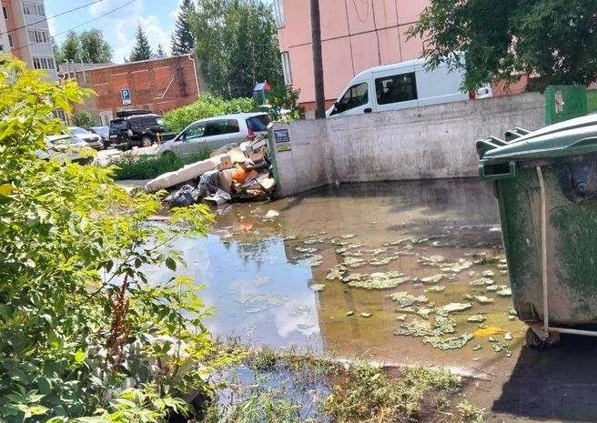Вода на территории не уходит неделями | Источник: «Короче, Омск» / t.me