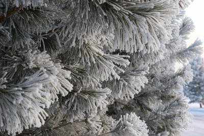 В Абакан придут аномальные морозы