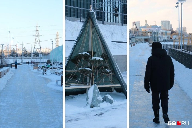 Тротуары на набережной очистили от снега и укрыли декоративные деревца | Источник: Тимофей Калмаков / 59.RU