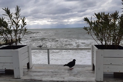 19 апреля в Сочи прогнозируют ливни, грозы и подъем уровня рек