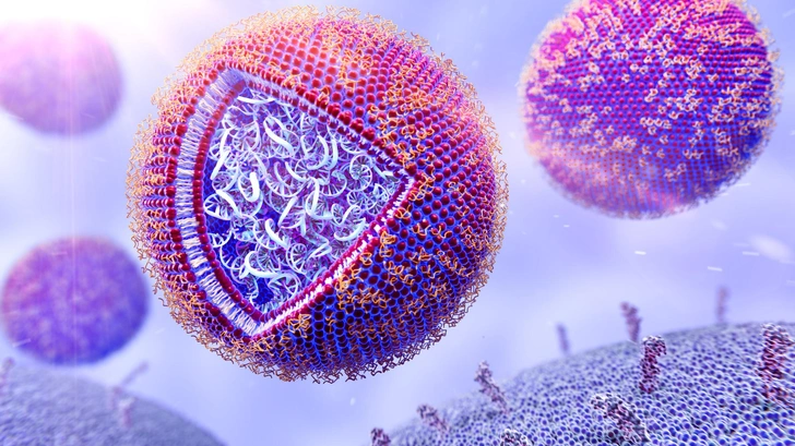 Изображение мРНК-вакцины в защитной липидной оболочке | Источник: THOM LEACH / SCIENCE PHOTO LIBRARY via Legion Media