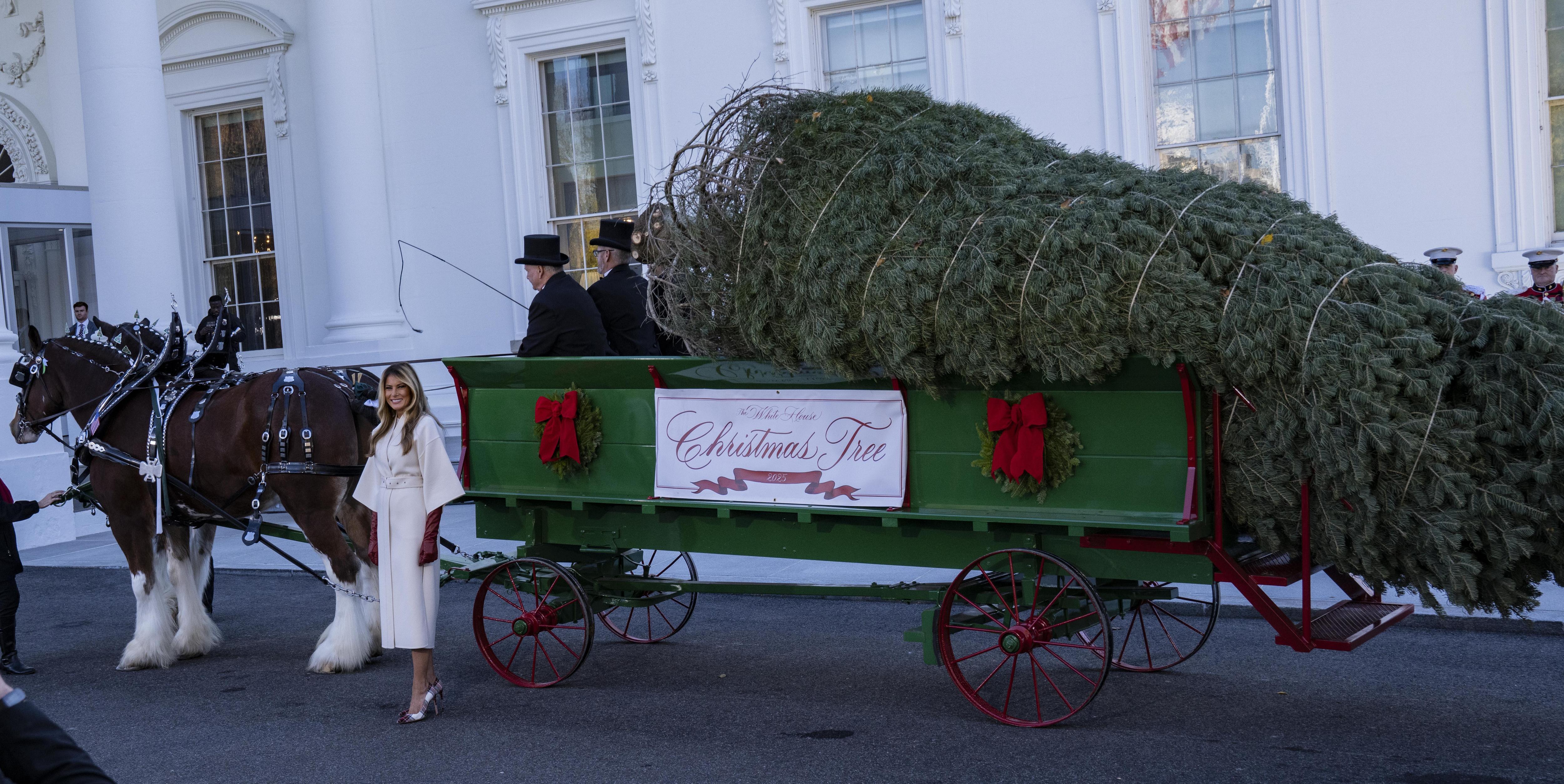 Эффект первой леди: где купить идеальное кашемировое пальто, как у Мелании Трамп