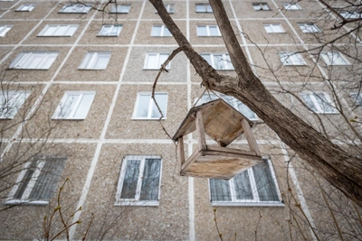 День Порфирия Позднего: традиции и запреты 11 марта