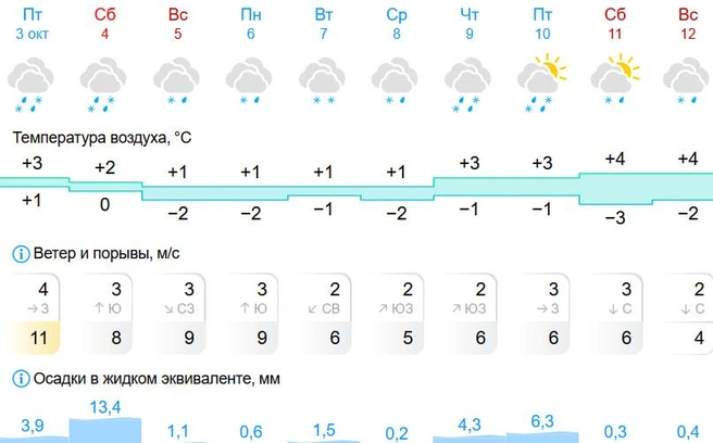 Снег, отмечает сервис, будет идти всю неделю | Источник: Gismeteo.ru
