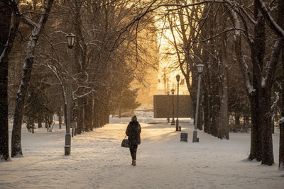 В пятницу в Новосибирской области потеплеет до +1°C