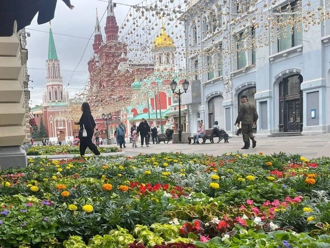 Фестиваль цветов продлится два месяца | Источник: Валерия Милованова / MSK1.RU