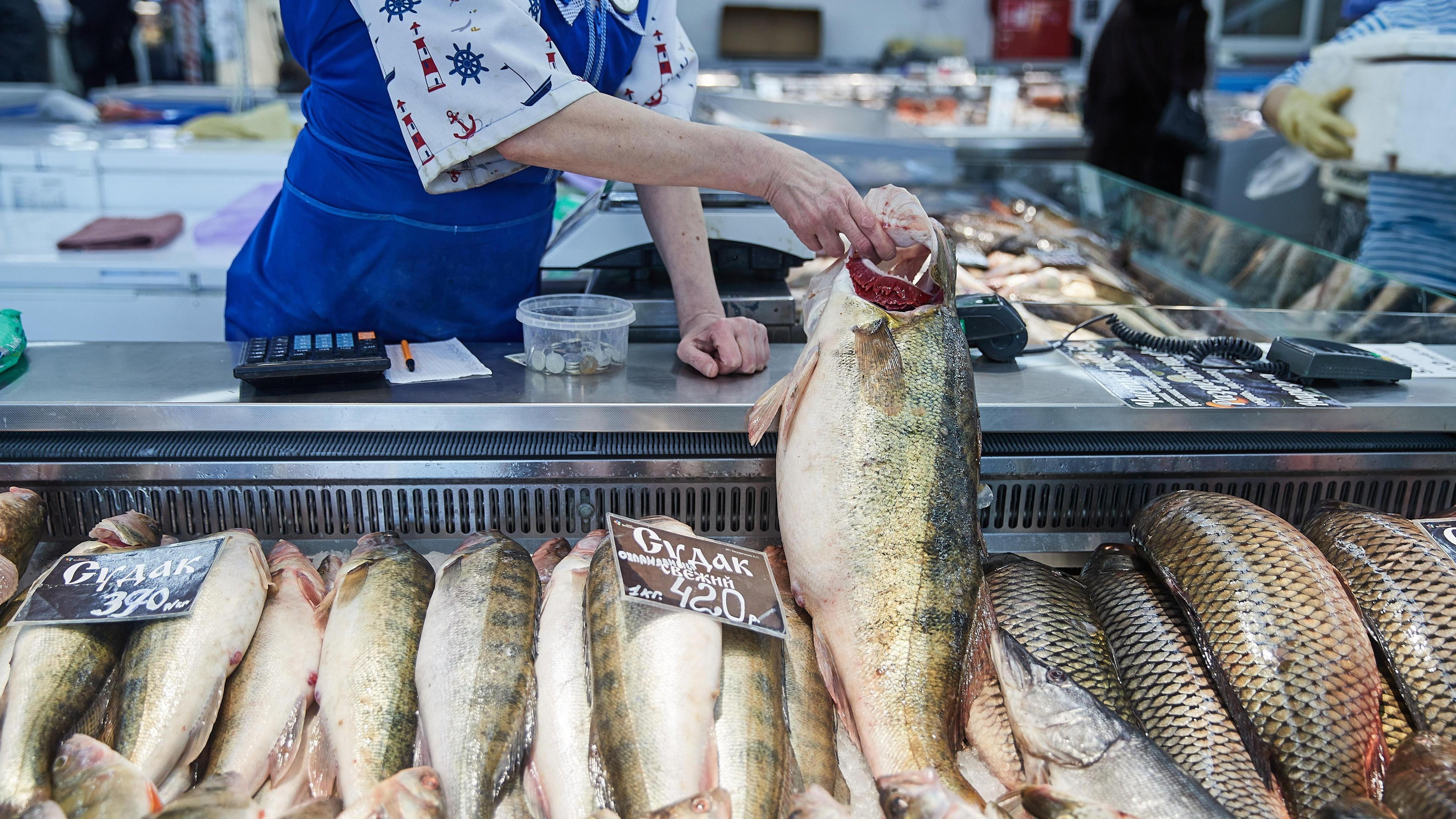 Сезон морских гадов: какие дальневосточные морепродукты покупать в сентябре