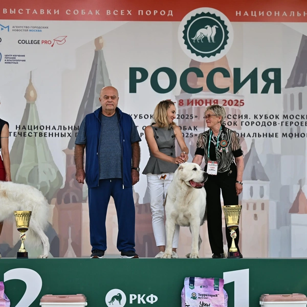 Источник: РКФ