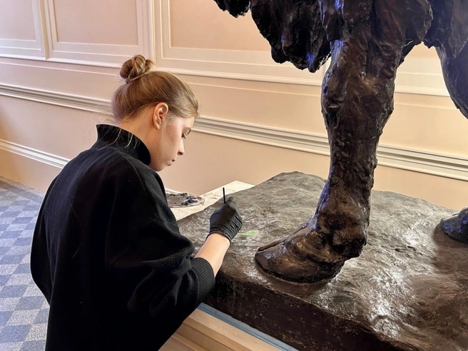 Источник: Администрация Санкт-Петербурга