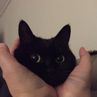 Аватарка Татка