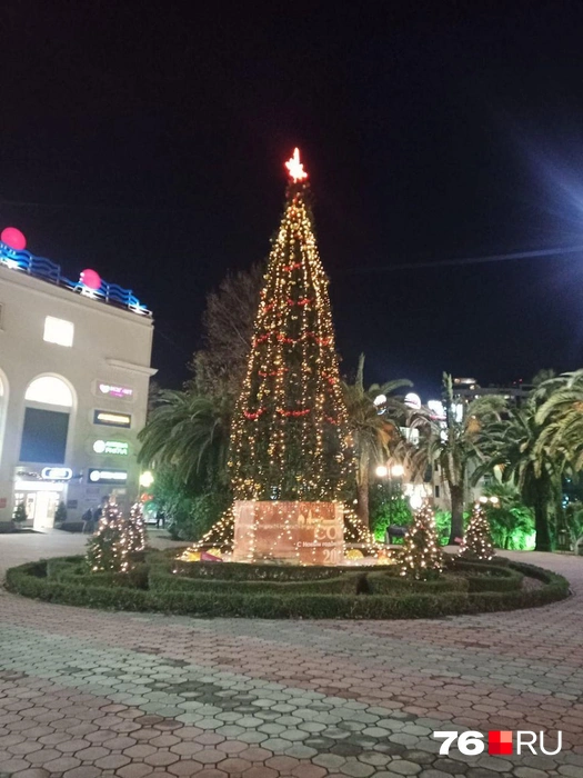 Новогодняя елка на фоне зеленых пальм в Сочи | Источник: Наталья