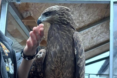 Engineer saves birds in Kazan village without 'crazy love'