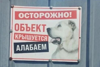 Алабай «крышует» частный дом в Белогорске