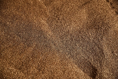 Вместо кормления Турции и Ирана: аграрии о ценах на пшеницу