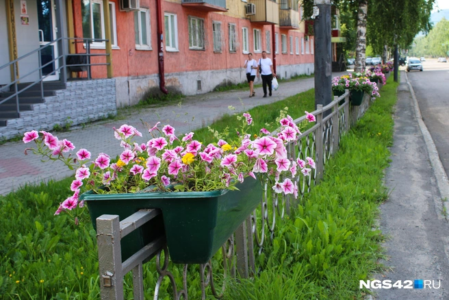 Кашпо с цветами вдоль дорог — отличительная черта города | Источник: Игорь Епифанцев / NGS42.RU