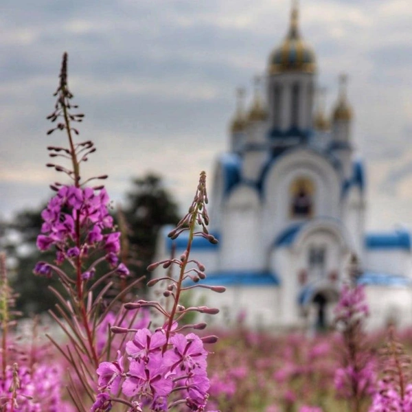 Источник: «Походный режим: ON» / t.me