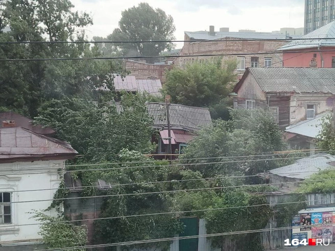 Ветер гнет деревья | Источник: Антон Васильченко / 164.RU