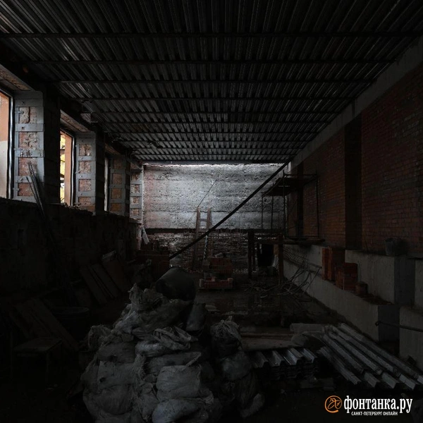 Источник: Андрей Бок / «Фонтанка.ру»