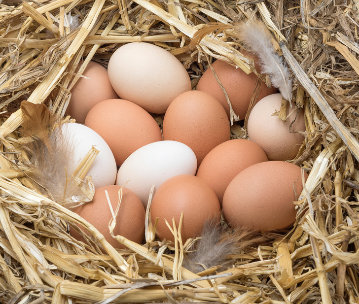 Царское блюдо: 5 любопытных фактов из истории потребления яиц в России