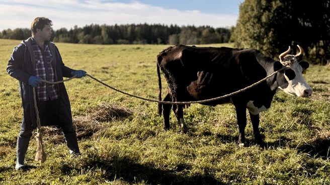 Естественно, не обойдется и без укрощения живности | Источник: ТНТ