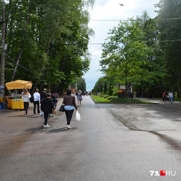 Большинство гостей парка прогуливались по дорожкам, наслаждаясь природой | Источник: Максим Улитов / 71.RU