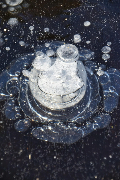 Источник: Анастасия Руднева / Vk.com